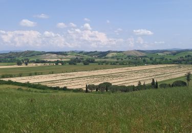 Tour Wandern Siena - Sienne /  Ponte d'Arbia - Photo