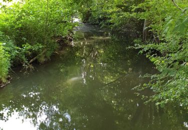 Randonnée Marche Longny les Villages - Minceaux 2 - Photo