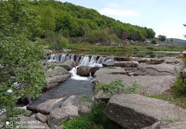 Tocht Stappen Pont de Montvert - Sud Mont Lozère - 30 pont Tarn 6 /5/24 - Photo