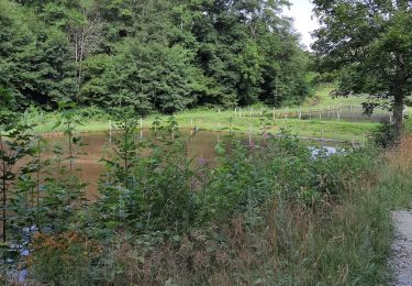 Trail Walking Houffalize - achouffe - Photo