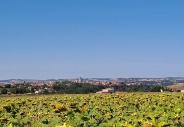 Trail Walking Miradoux - miradoux lectoure - Photo