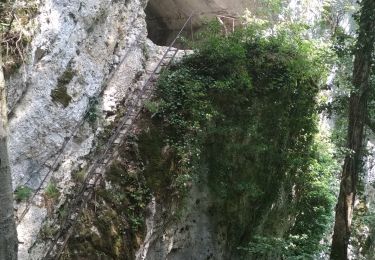 Tour Wandern Mouthier-Haute-Pierre - Mouthier Haute Pierre 21 juillet 2020 CAF - Photo