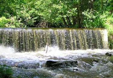 Tour Wandern Sauxillanges - La Chassagne depuis Sauxillanges - Photo