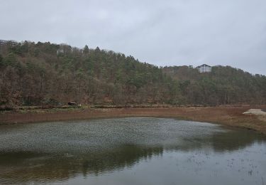 Trail Walking Spa - A la découverte de Spa et de son lac 🥾 - Photo