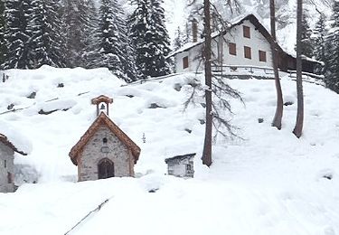 Randonnée A pied Forni di Sopra - IT-346 - Photo