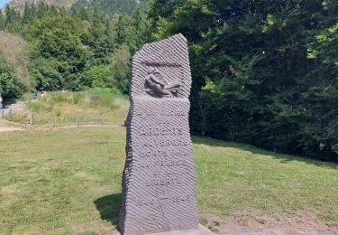 Randonnée Marche Orcines - puy de dôme  - Photo