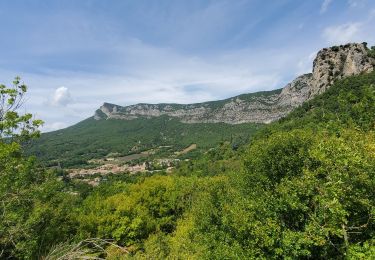 Tour Wandern Saou - Saou Variante - Photo