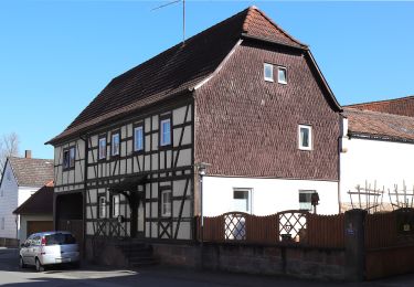 Randonnée A pied Obernburg am Main - Rundwanderweg Obernburg Am Bubenbrunnen 3: Eisenpfahl-Weg - Photo