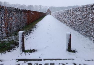 Trail Walking Zoersel - Promenade en boucle Zoersel Westmalle - Photo