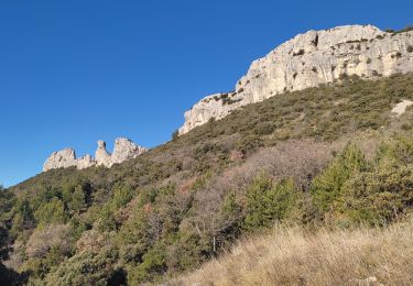 Tocht Stappen Gémenos - Plan des Vaches - Photo