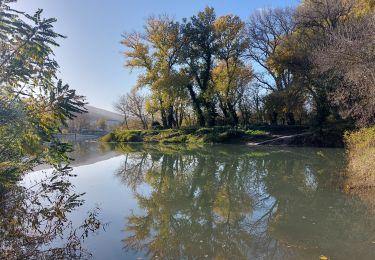 Randonnée Marche Châteauneuf-du-Rhône - Châteauneuf : Les Iles du Rhône 9km - Photo