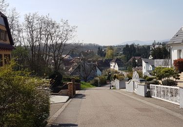 Tour Wandern Dahlenheim - Circuit du Rutscherle variante - Photo