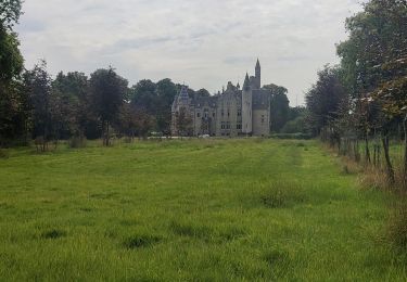 Tour Wandern Bornem - Weert - Bornem - Photo