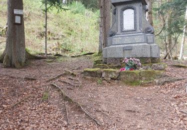 Tour Wandern Celles-sur-Plaine - Lajus Celles sur Plaine - Photo