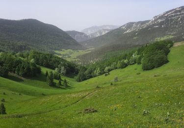 Tocht Stappen Châtillon-en-Diois - Vallon Combau-Tête Chevalière 13km - Photo