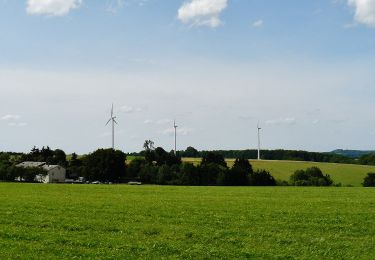 Percorso A piedi Gomadingen - Rund um den Lämmerbuckel - Photo