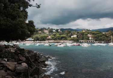 Percorso A piedi Rapallo - Rapallo - Monte Pegge - Photo