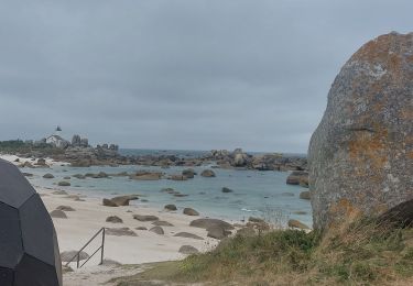 Randonnée Marche Plounéour-Brignogan-Plages - GR_34_GD_46_Plouneour-Brignogan_Kerlouan_20250804 - Photo