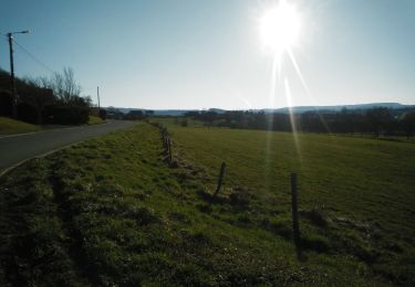 Excursión Bici de montaña Virton - Signeulx I  -  Balade_VTT_27kms - Photo