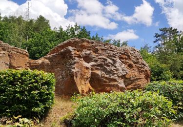 Tour Wandern Chaumont-Gistoux - Sur les traces de la préhistoire  - Photo