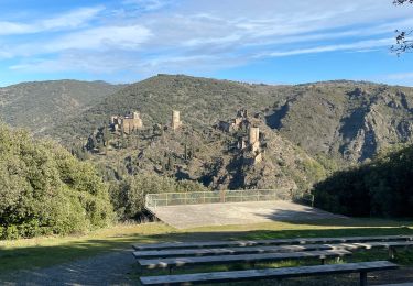 Tour Mountainbike Sallèles-Cabardès - Sallelles canardes - Photo