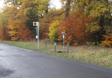 Tocht Te voet Hofgeismar - Hessenweg 6, Abschnitt Sababurg - Reinhardshagen - Photo