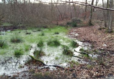 Tour Wandern Thomery - Th1 - Photo