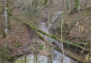 Tocht Stappen Cheminon - sermaize raival - Photo