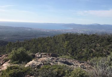 Trail sport Fréjus - Testanier - Mont Aigre - Photo