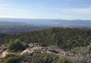 Percorso sport Fréjus - Testanier - Mont Aigre - Photo