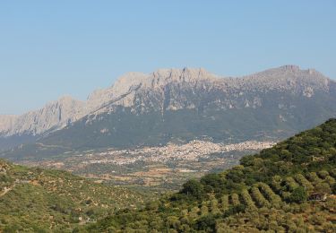 Percorso A piedi Dorgali - Grande Traversata Supramontes Tappa 3 - Photo