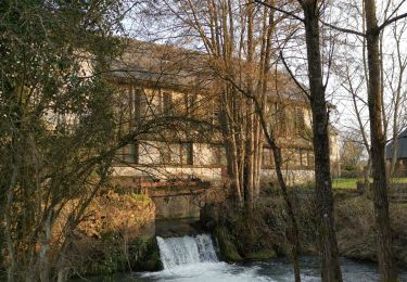 Trail Walking Vassonville - vassonville bosmelet st Denis sur scie - Photo