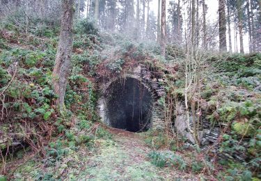 Percorso Marcia Viroinval - Le Trou du Diable à Oignies en Thiérache - Photo