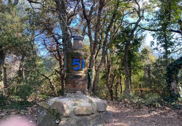 Trail Walking Le Muy - Les trois croix  Roquebrune - Photo