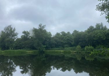 Trail On foot Hoogeveen - Groene rondwandeling - Photo