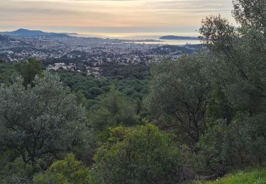 Tour Wandern Ollioules - vallon des bonnes herbes - Photo