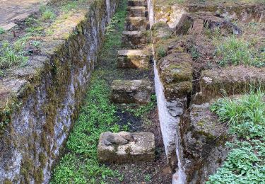 Excursión Senderismo Virton - Buzenol avec la Godasse  - Photo