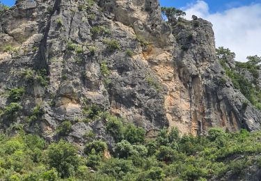 Trail Walking Saint-Guilhem-le-Désert - Guilheme le désert  - Photo