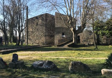 Randonnée Marche Aubais - Au pays de la Bouvine - Photo