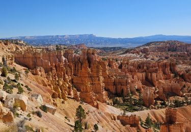 Trail Walking  - 2024 Bryce Canyon Queen's Trail - Photo