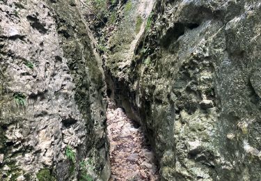 Trail Trail Bédoin - Ventoux par combes d’Ansis, de Fiole et de Curnier(21K 1450D+) - Photo