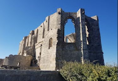 Trail Walking Gigean - Gardiole - Photo