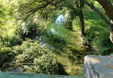 Randonnée Marche Sainte-Anastasie-sur-Issole - Les Ribas-la Clape - Photo