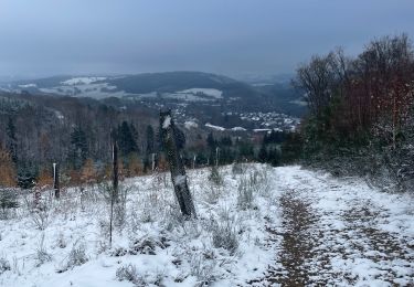 Tour Wandern Stablo - SityTrail - Extratrail_stavelot_13km_new - Photo