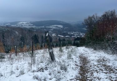 Randonnée Marche Stavelot -  Extratrail_stavelot_13km - Photo