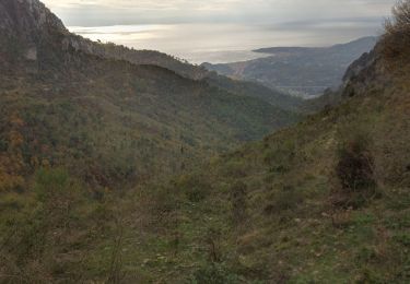 Randonnée Trail Castellar - Grand mont- col du berceau or les crêtes - Photo