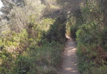 Tour Wandern Martigues - Promenade sur la rive de l'étang de Berre  - Photo