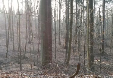 Tocht Te voet Überherrn - Circuit l'ancien Tramway - Photo