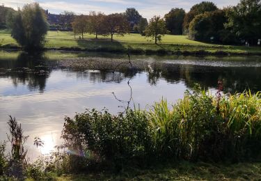 Excursión Senderismo Ottignies-Louvain-la-Neuve - Promenade dans le Bois des Rêves et au Lac De Louvain-La-Neuve - Photo