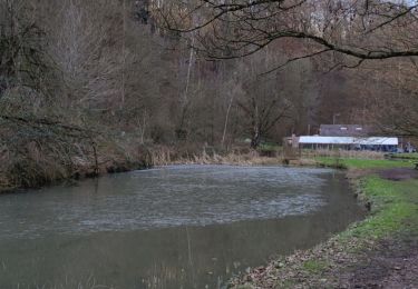 Trail Walking Visé - A travers les bois et étangs de la julienne 🥾 - Photo